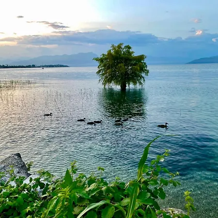 Alfieri Hotel Sirmione